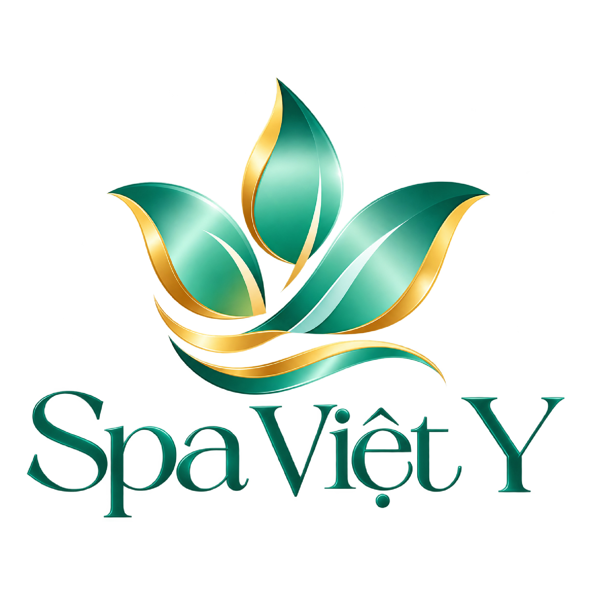 spa viet y